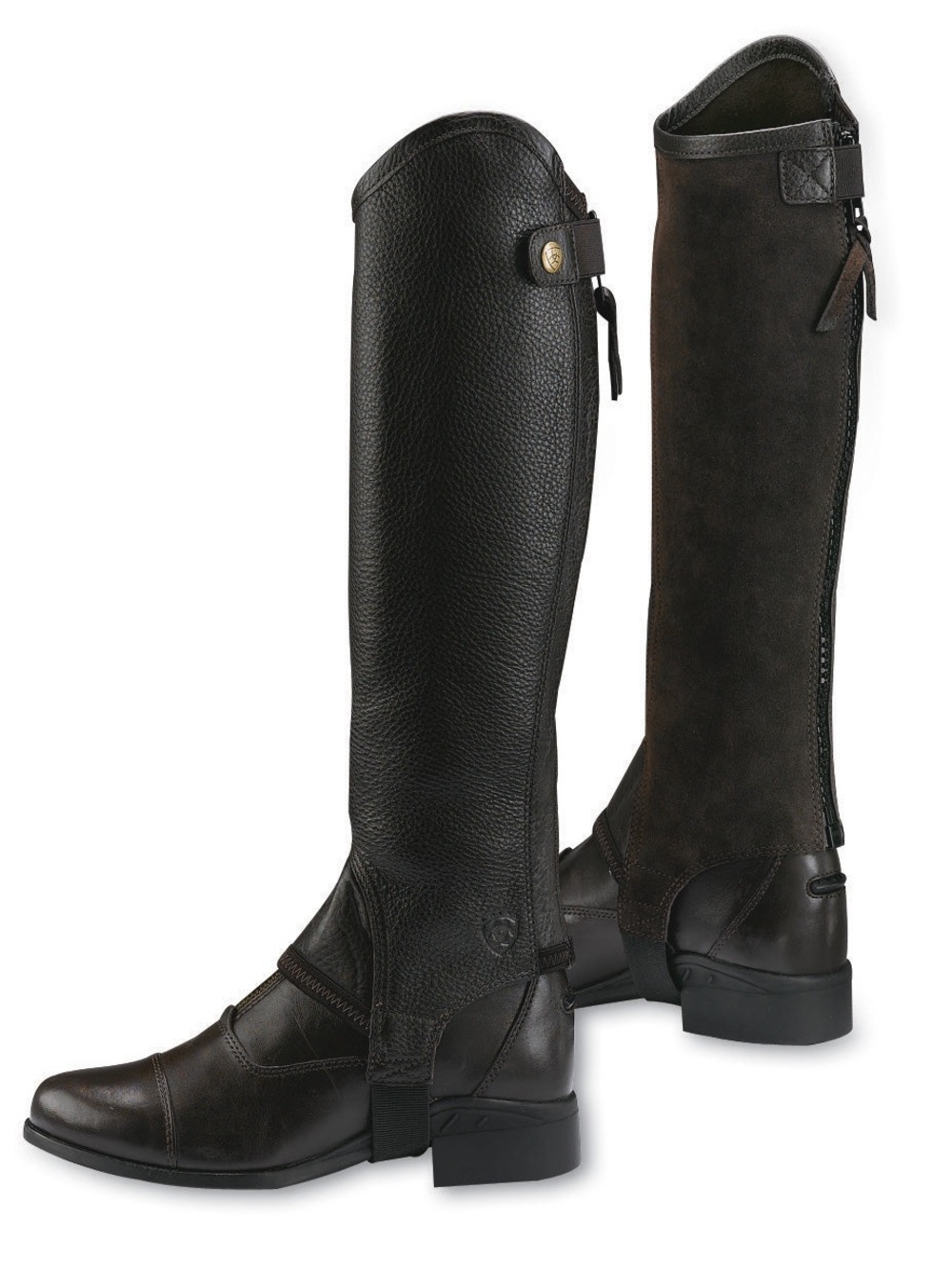 Ariat Concord half chaps small tall black horse riding leather suede black